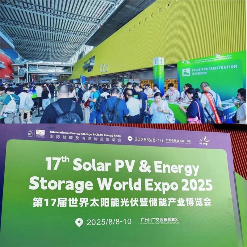 Der Besuch von Honor Energy auf der 17. Solar PV & Energy Storage World Expo 2025 war ein voller Erfolg!